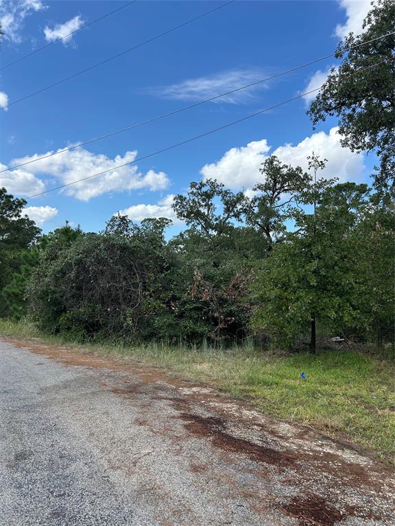 TBD Pahoiki Lane, Bastrop, Texas image 4