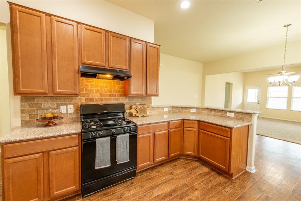 10742 Chestnut Path Way Way, Tomball, Texas image 9