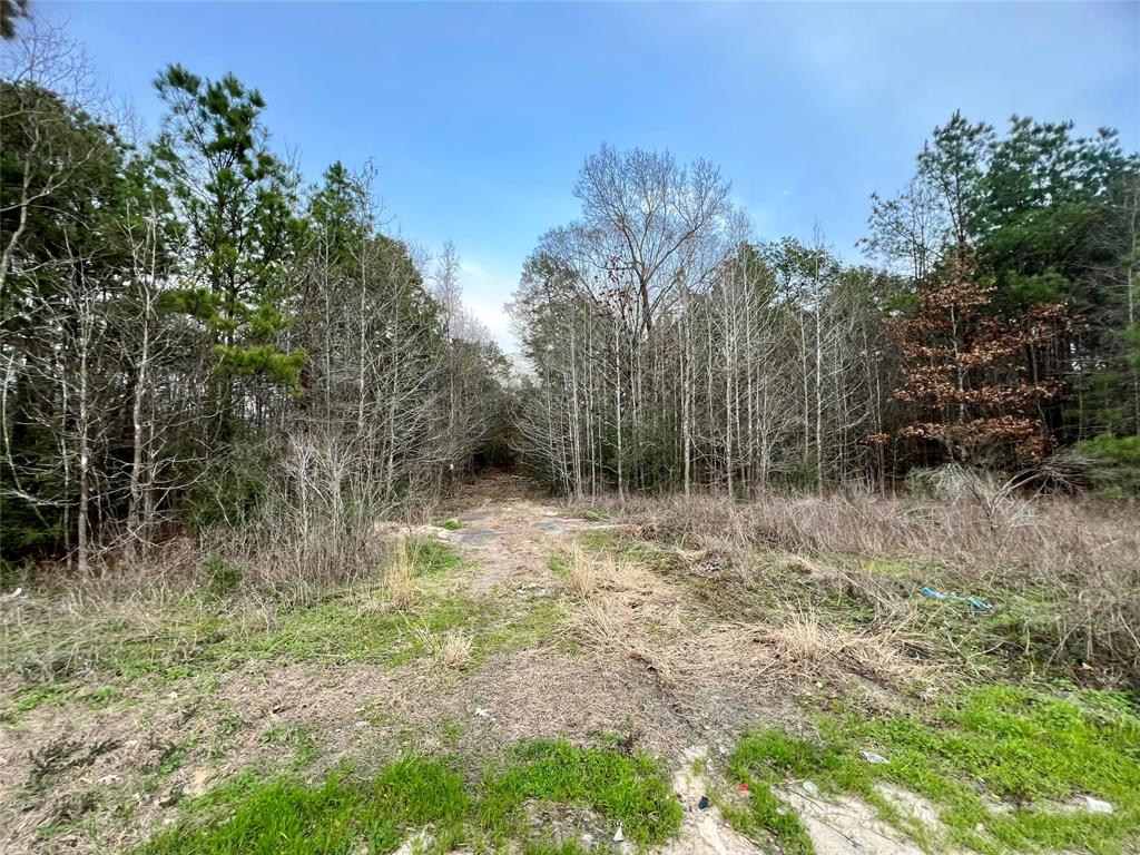 19571 Fm 1314 Road