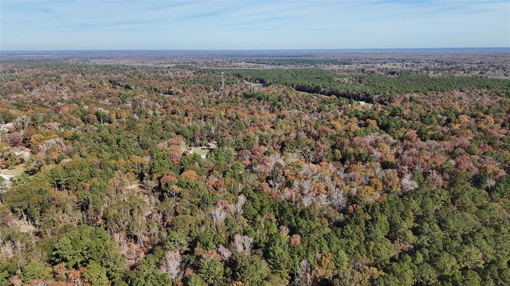 00 County Road 2175, Shepherd, Texas image 12