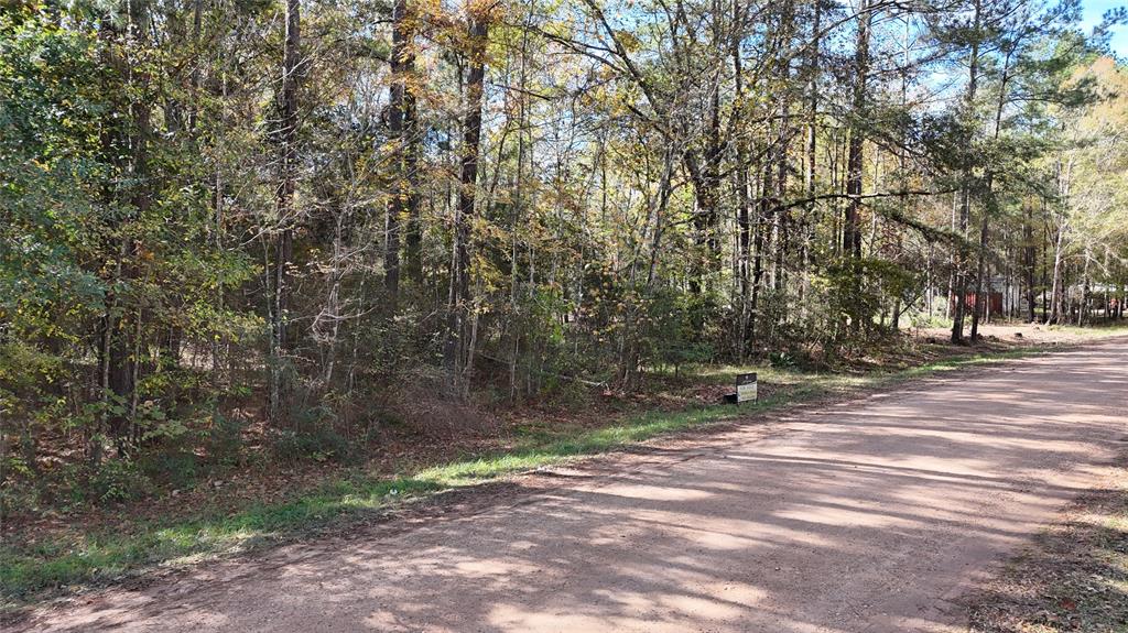 00 County Road 2175, Shepherd, Texas image 3