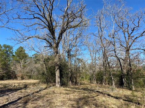  in Bedias TX 15 Acres Lot 9, Hwy 30.jpg