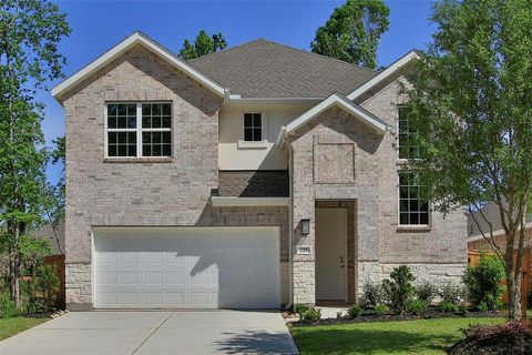 226 Brecon Buff Drive Willis TX 77318