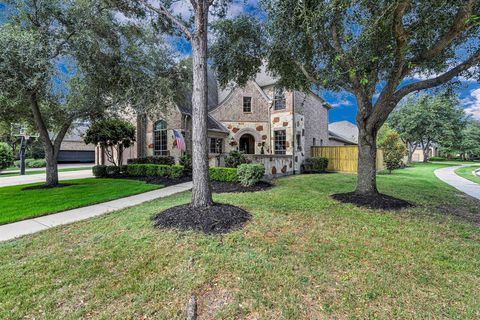 10019 Touhy Lake Drive Katy TX 77494