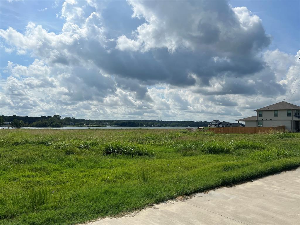 11307 Cora Lane, Willis, Texas image 36