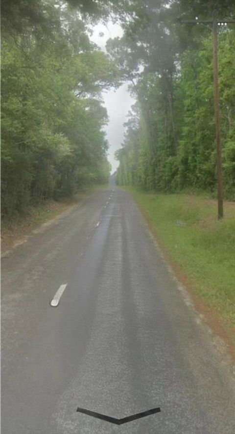 Photo of 0 County Road 2650, Livingston, TX 77327 (MLS # 12123098)