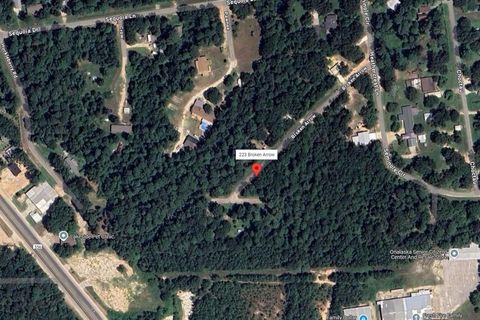 Photo of 223 Broken Arrow, Onalaska, TX 77360 (MLS # 57545416)