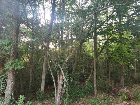 Lot 16 Weeping Willow Lane Plantersville TX 77363