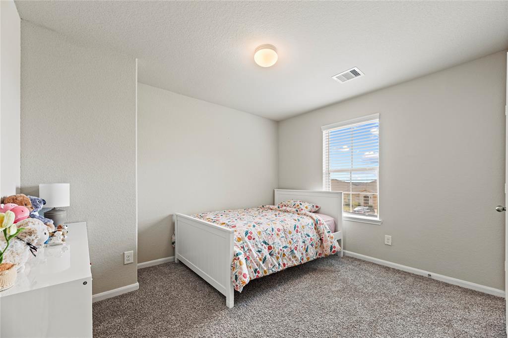 29622 Weber Way Court, Katy, Texas image 21