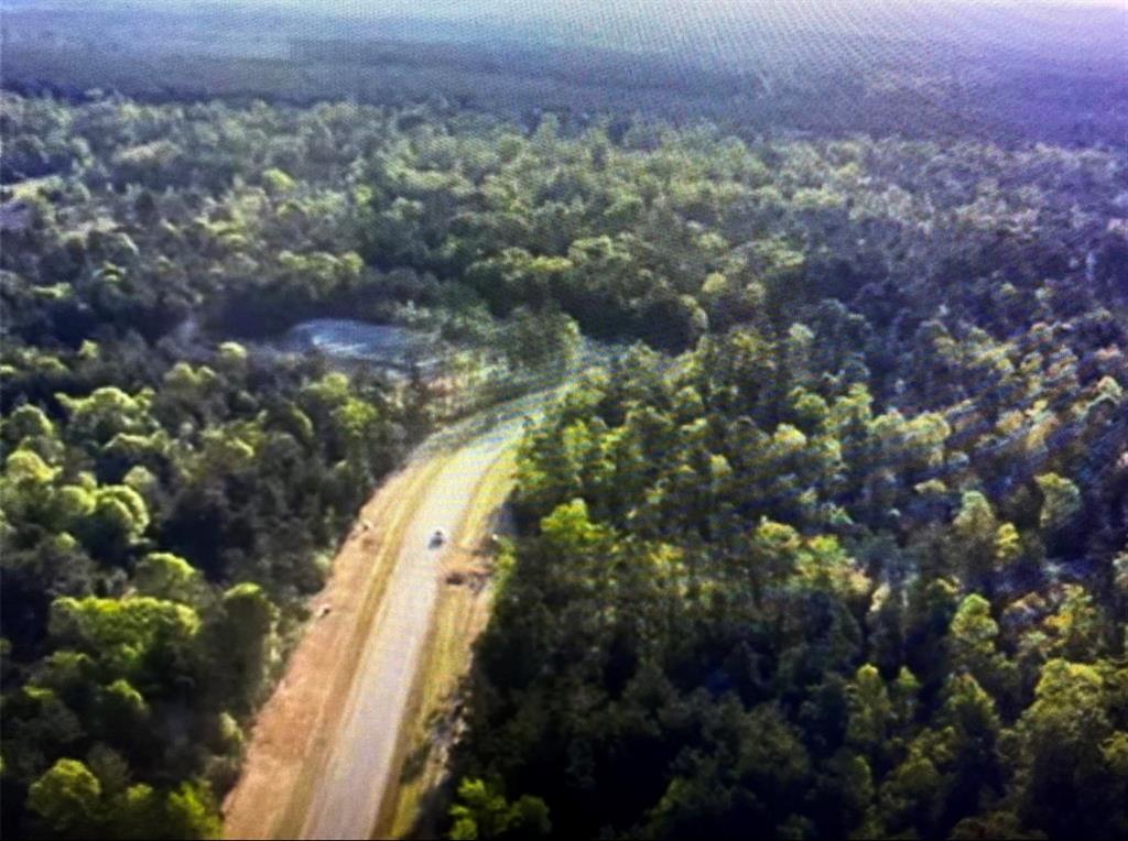 15629 Forest Knoll Road Rd, Willis, Texas image 1