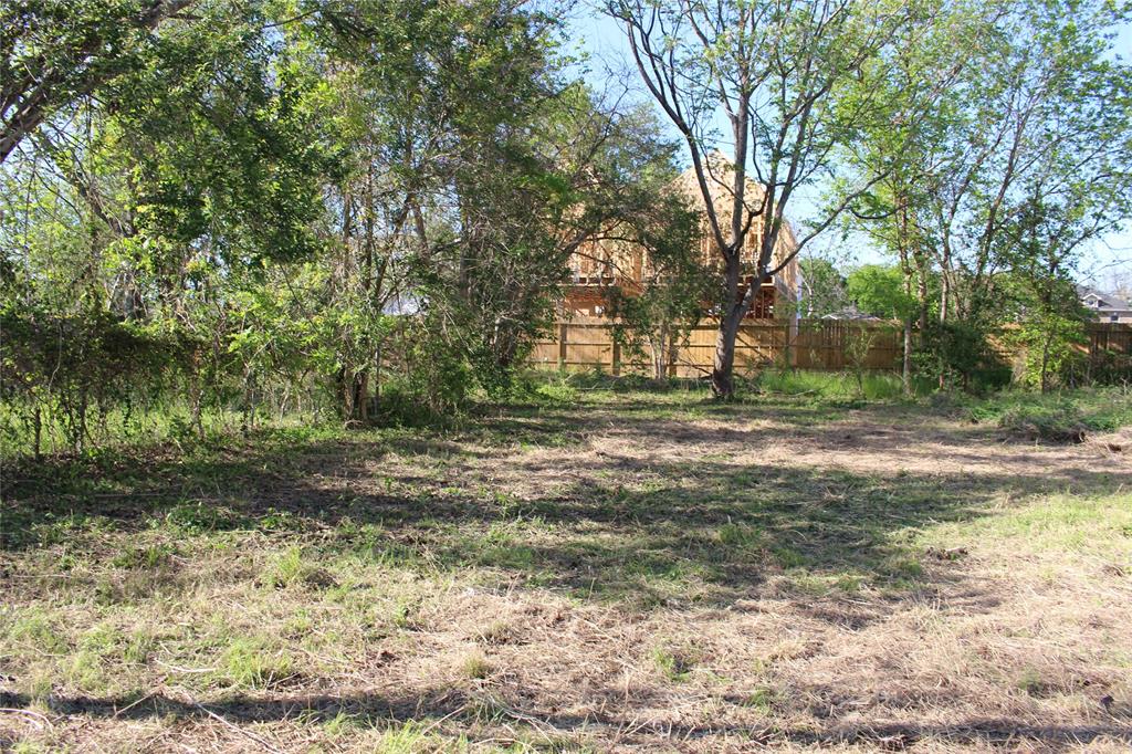 305 E 43rd Street, Houston, Texas image 3