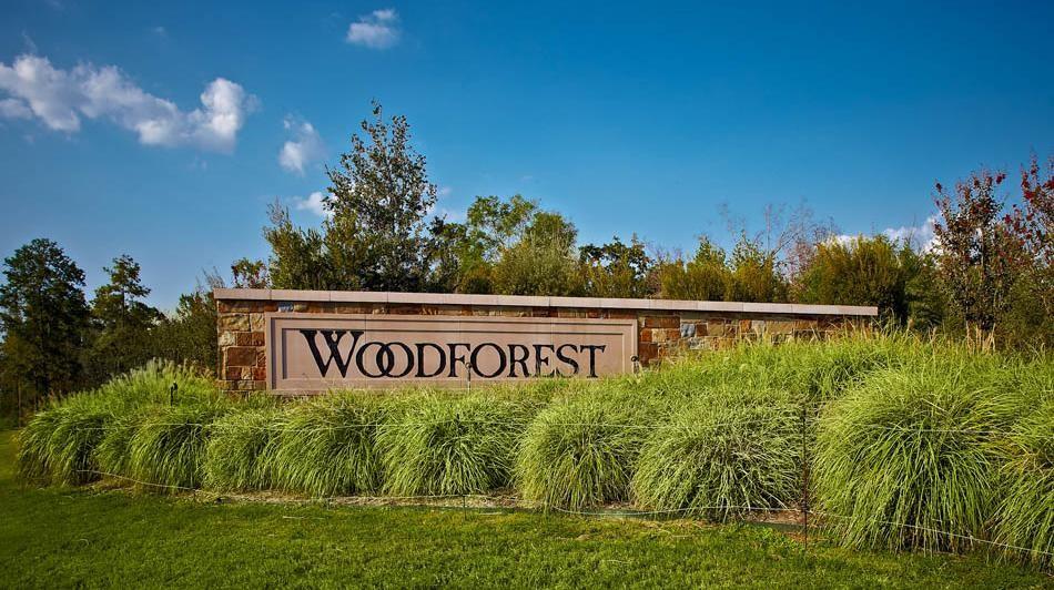 324 Water Tupelo Drive, Montgomery, Texas image 8