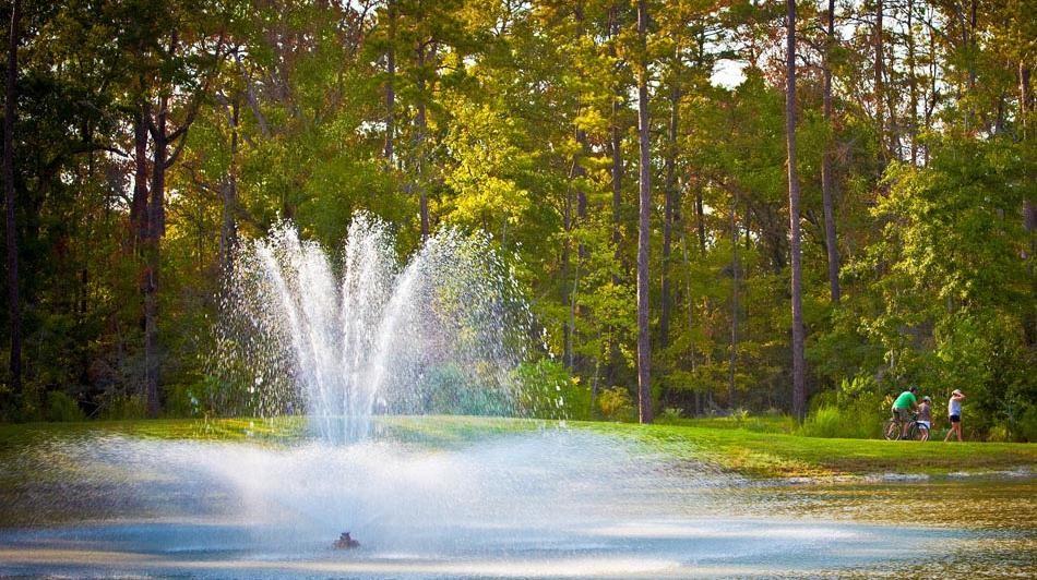 324 Water Tupelo Drive, Montgomery, Texas image 9