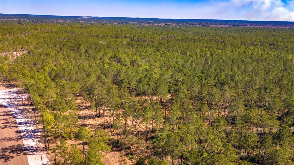 046 Tumbleweed Ranch Rd Road, Onalaska, Texas image 11