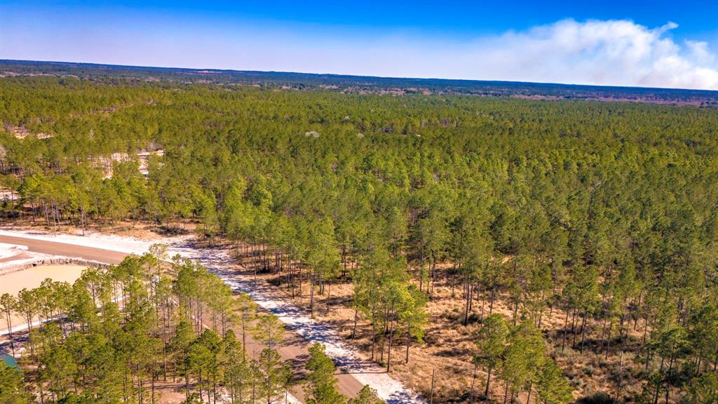 046 Tumbleweed Ranch Rd Road, Onalaska, Texas image 9