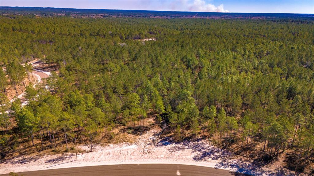 046 Tumbleweed Ranch Rd Road, Onalaska, Texas image 8