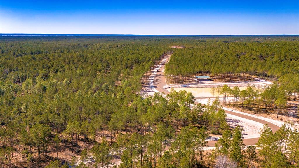 046 Tumbleweed Ranch Rd Road, Onalaska, Texas image 13