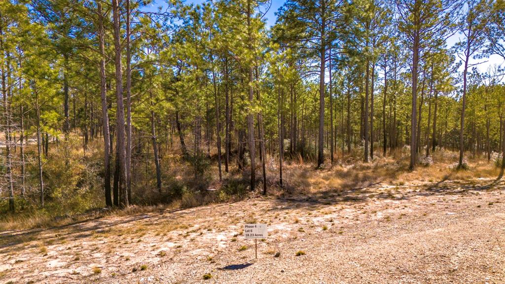 046 Tumbleweed Ranch Rd Road, Onalaska, Texas image 6