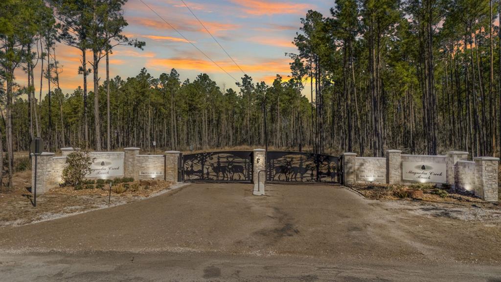 046 Tumbleweed Ranch Rd Road, Onalaska, Texas image 2