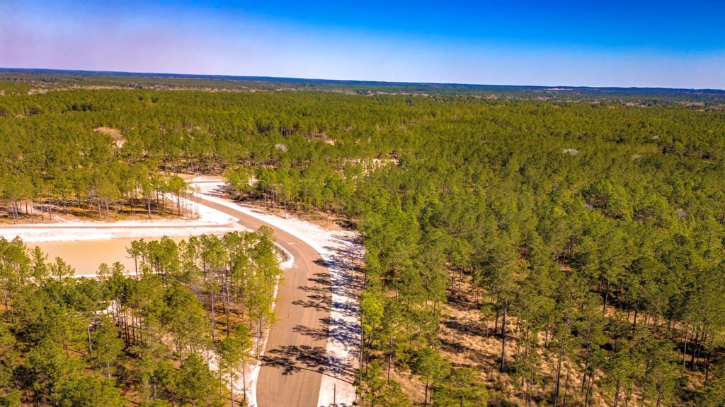 046 Tumbleweed Ranch Rd Road, Onalaska, Texas image 10