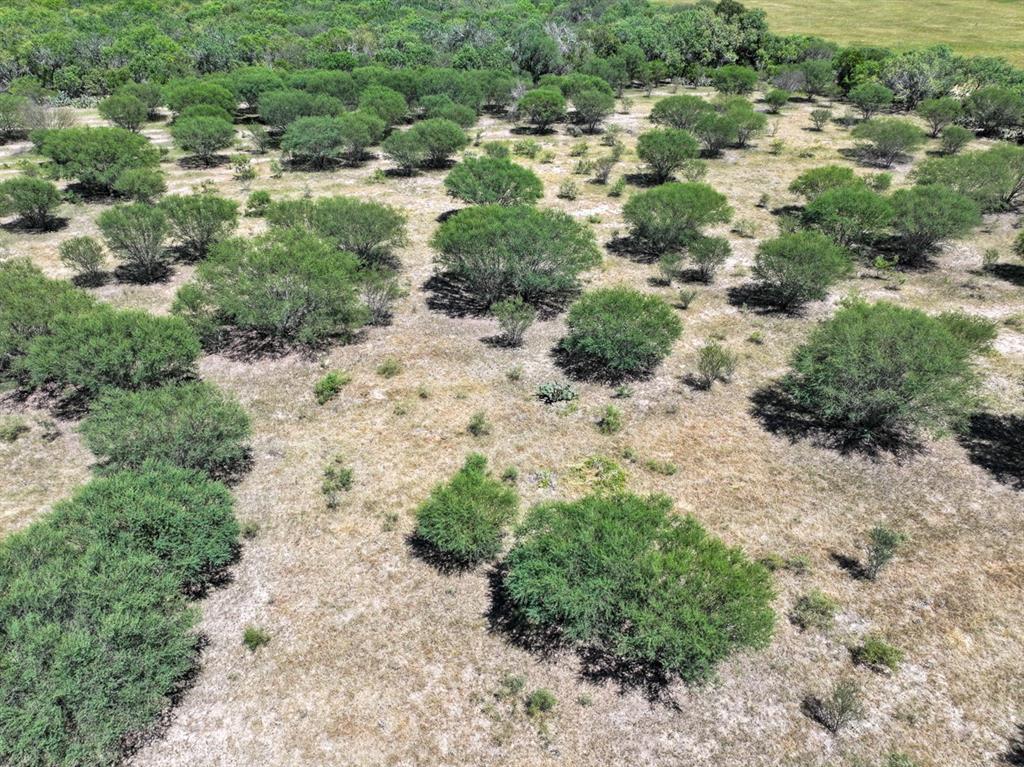 County Road 266, Poth, Texas image 7