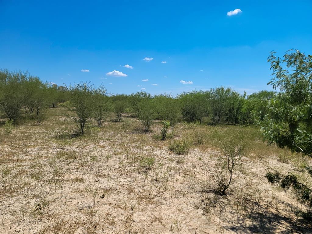 County Road 266, Poth, Texas image 25