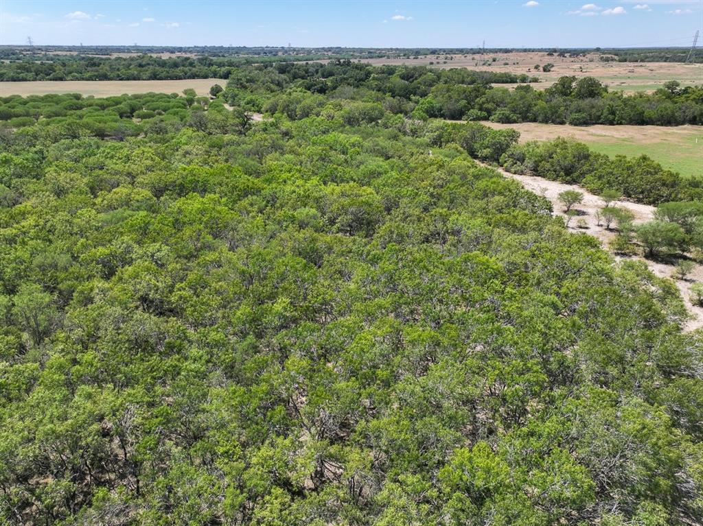 County Road 266, Poth, Texas image 20