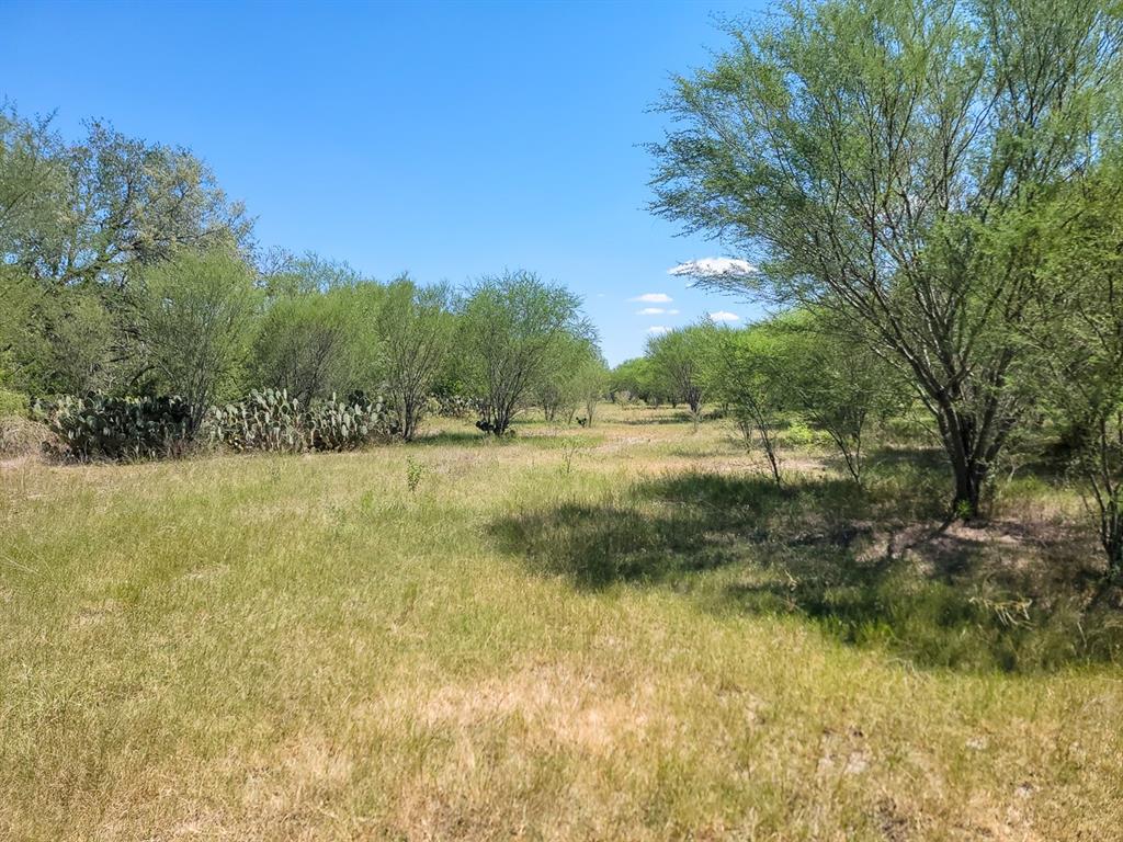 County Road 266, Poth, Texas image 35