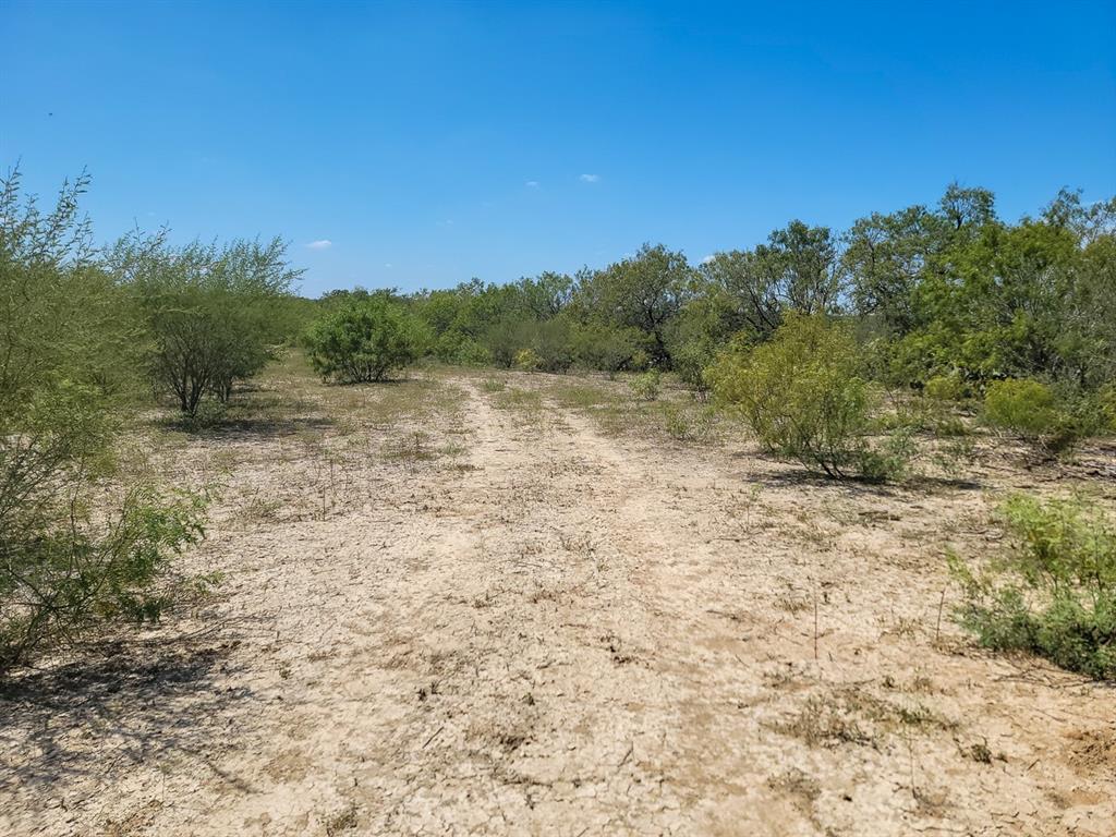 County Road 266, Poth, Texas image 26