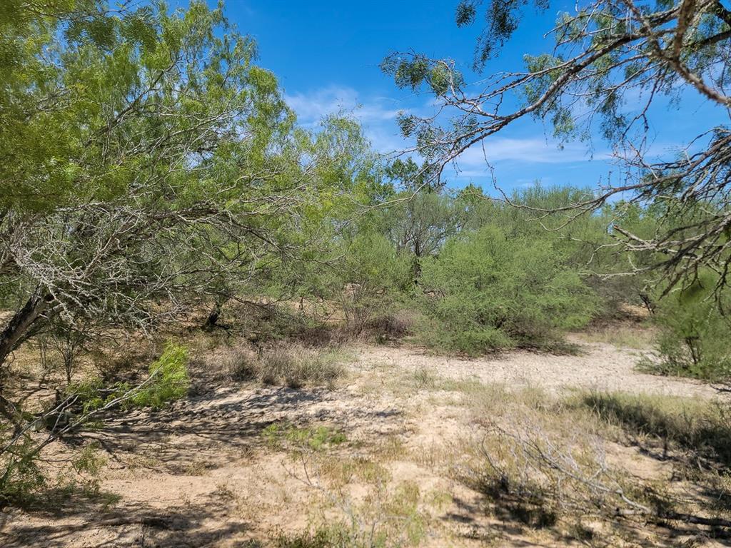 County Road 266, Poth, Texas image 28