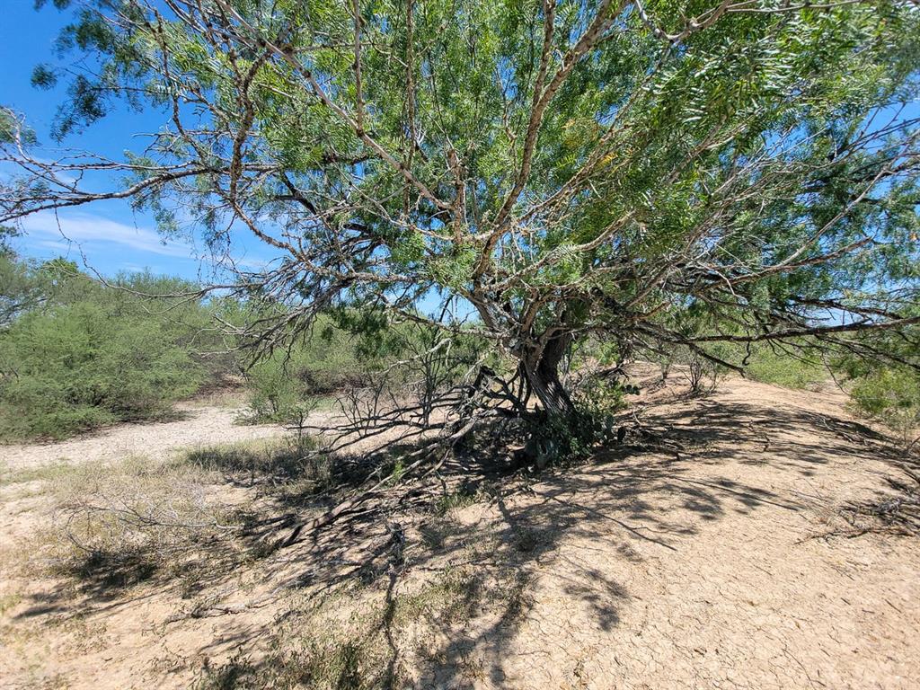 County Road 266, Poth, Texas image 29