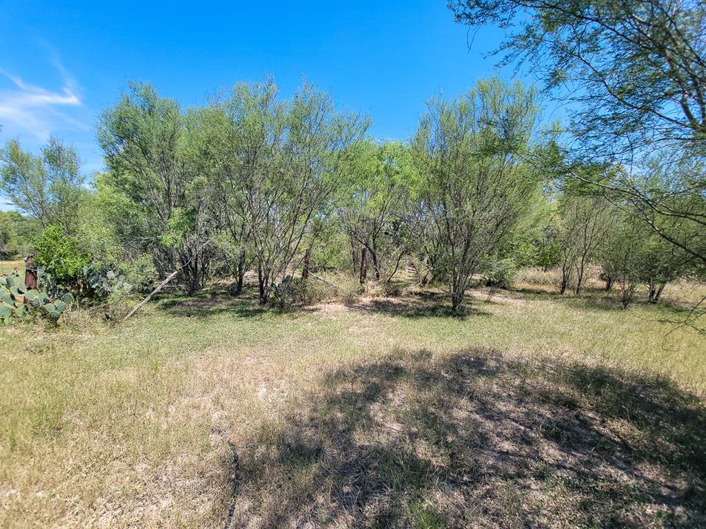 County Road 266, Poth, Texas image 37