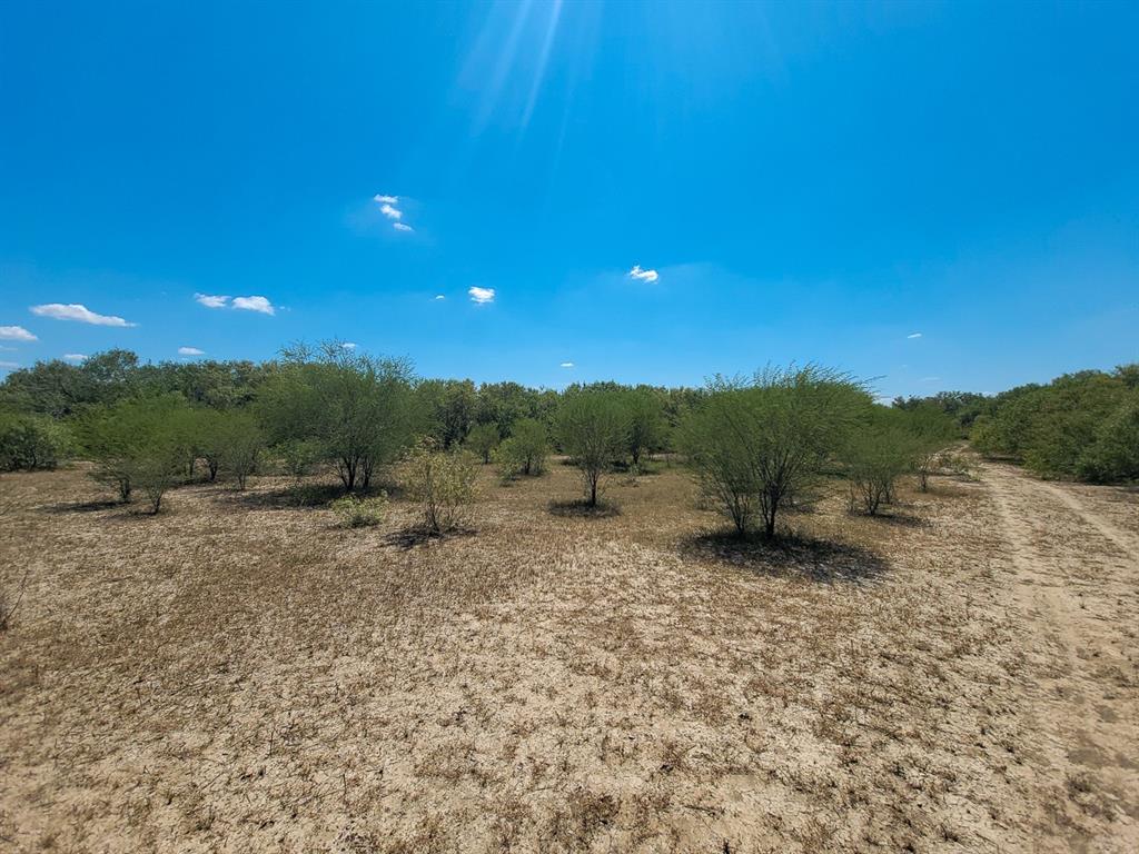 County Road 266, Poth, Texas image 31