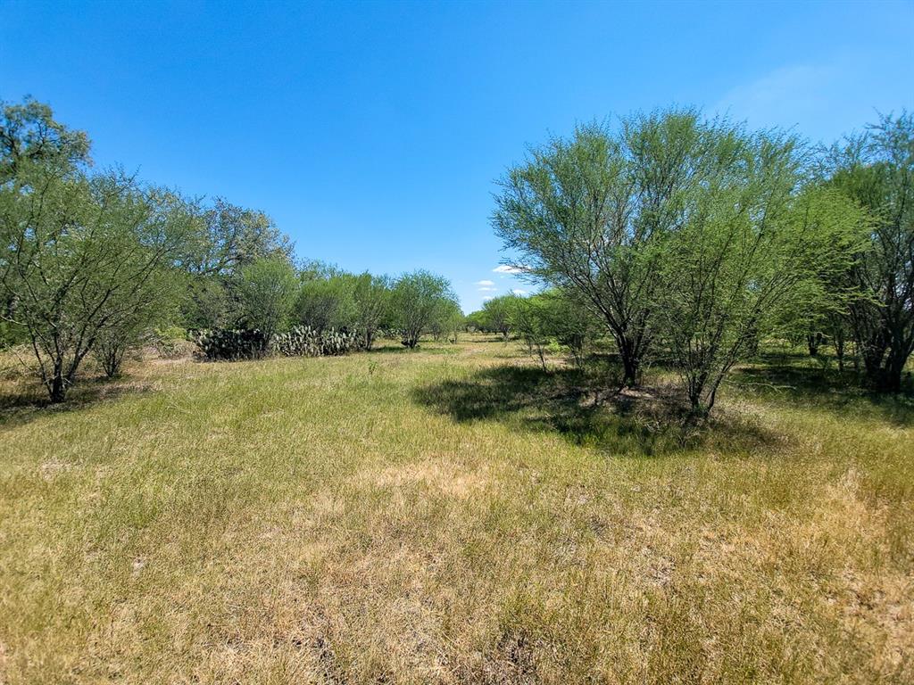 County Road 266, Poth, Texas image 34