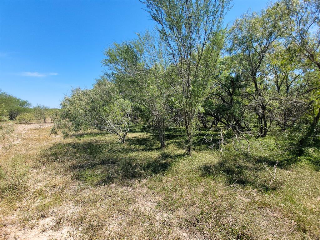 County Road 266, Poth, Texas image 33