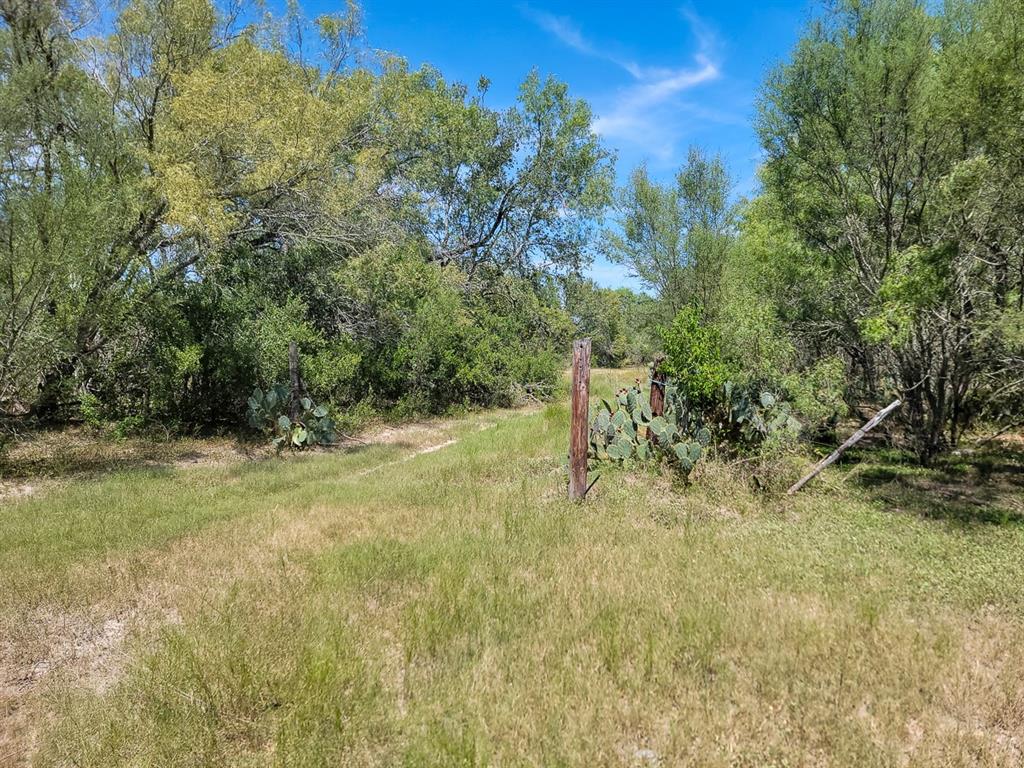 County Road 266, Poth, Texas image 36