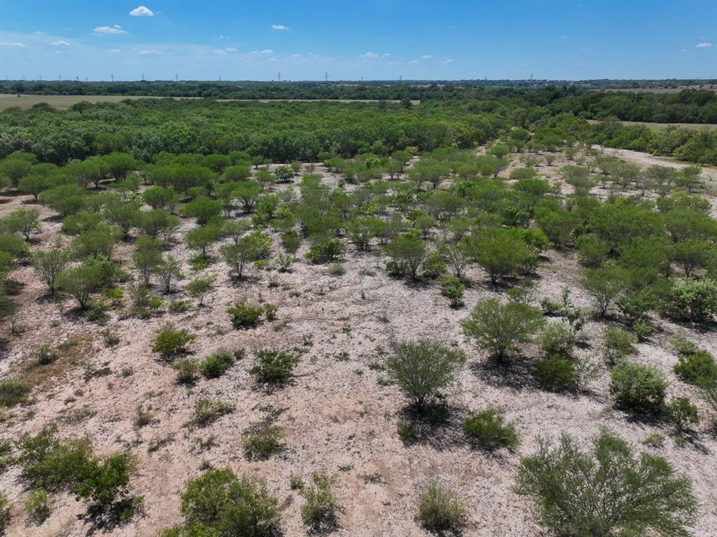 County Road 266, Poth, Texas image 15