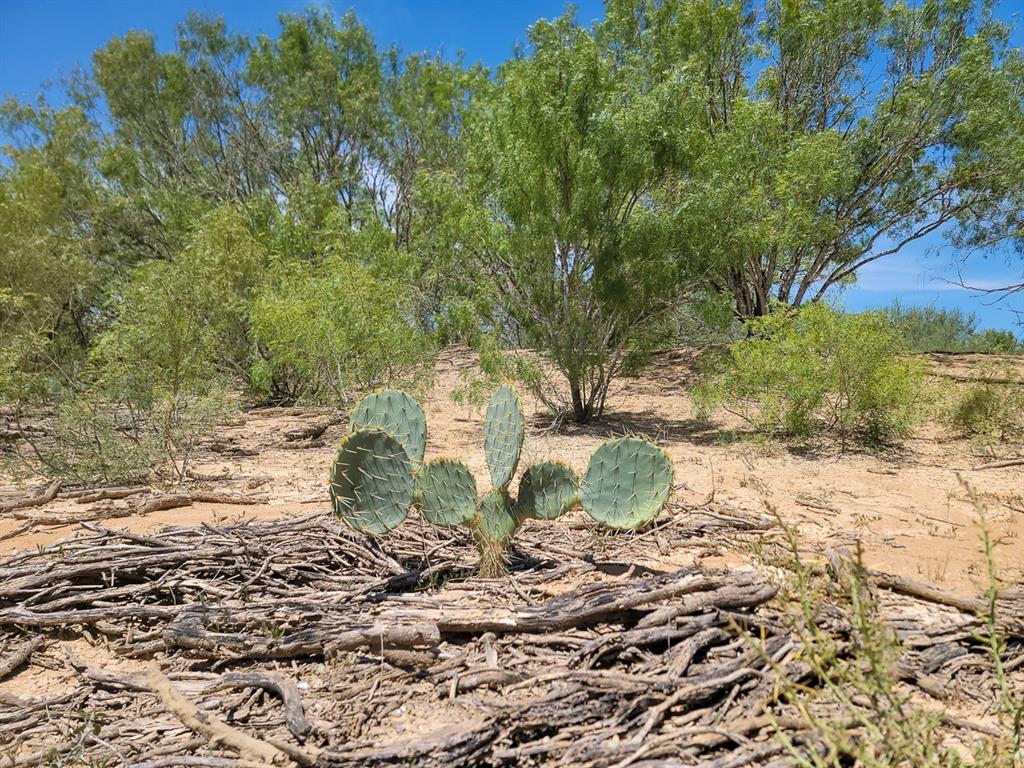 County Road 266, Poth, Texas image 27