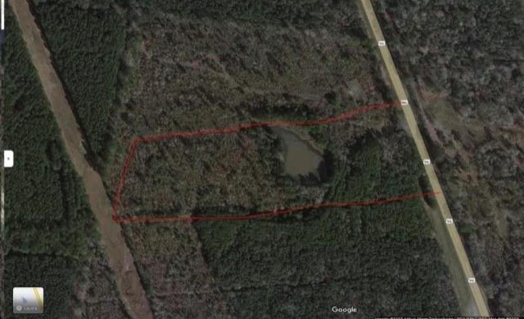 4310 Us-96, Pineland, Texas image 1