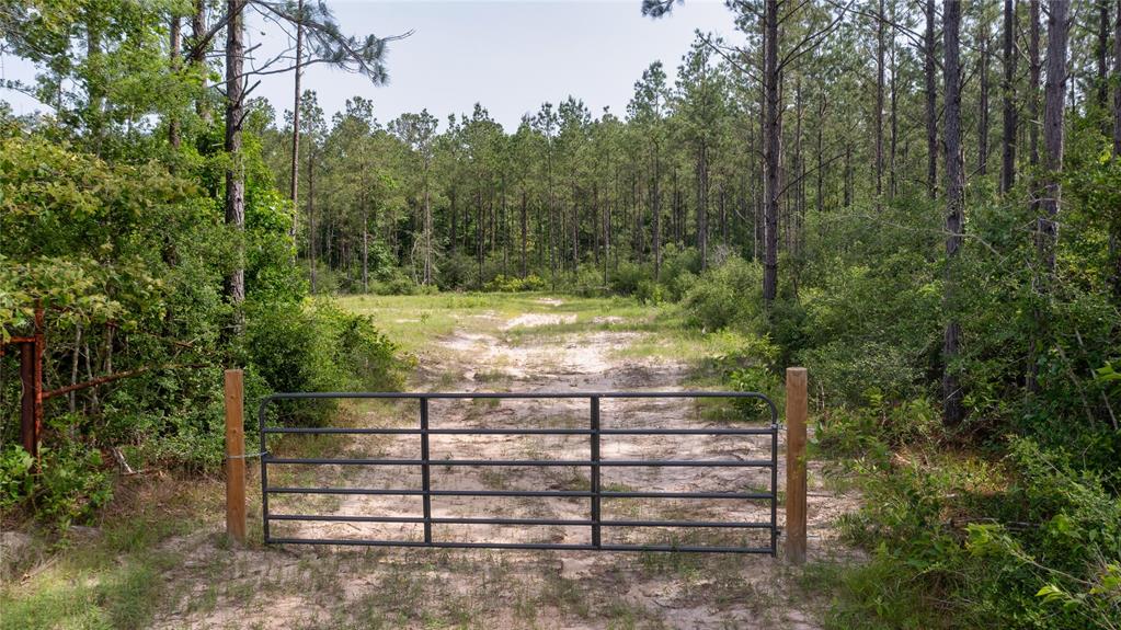 Tract 3 Fm 942, Livingston, Texas image 4