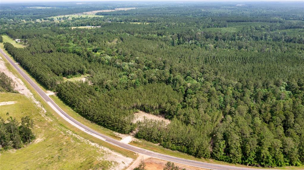 Tract 3 Fm 942, Livingston, Texas image 8
