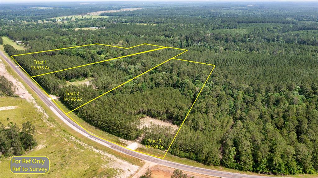 Tract 3 Fm 942, Livingston, Texas image 2