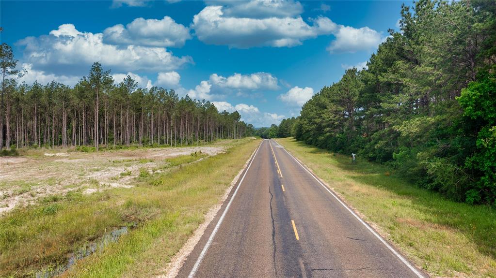 Tract 3 Fm 942, Livingston, Texas image 6