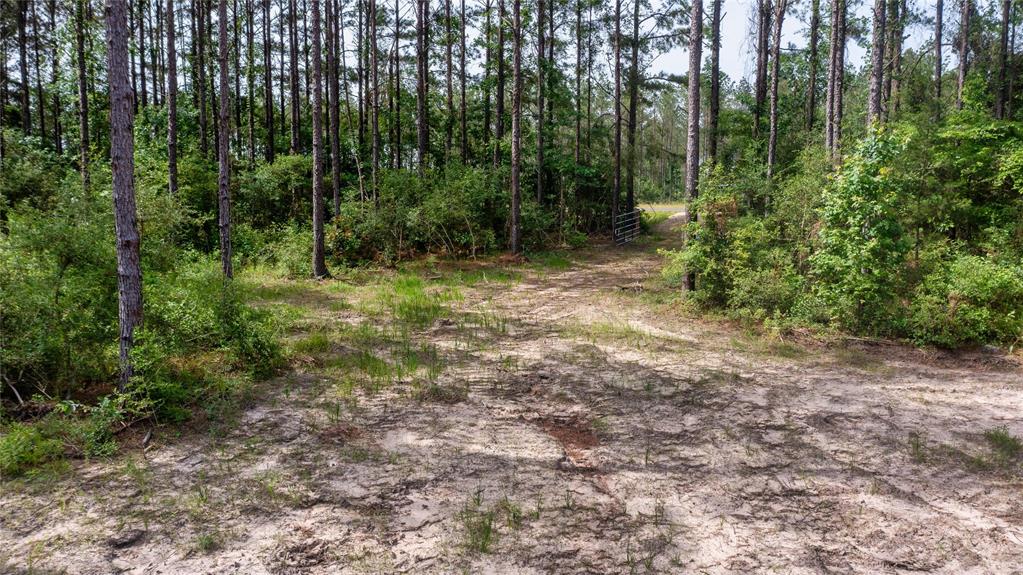 Tract 3 Fm 942, Livingston, Texas image 5