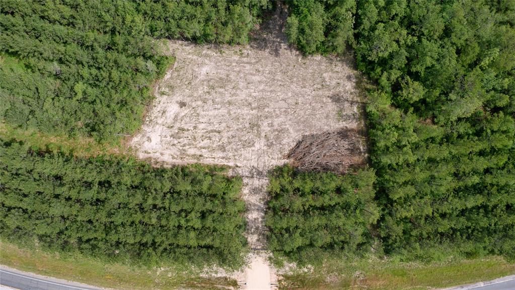 Tract 3 Fm 942, Livingston, Texas image 3