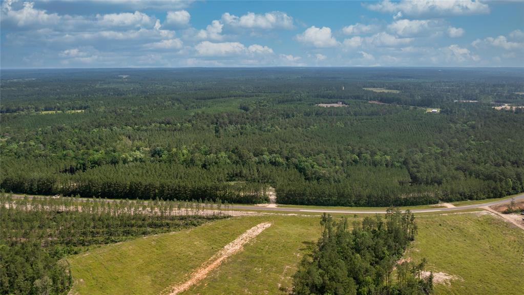 Tract 3 Fm 942, Livingston, Texas image 7