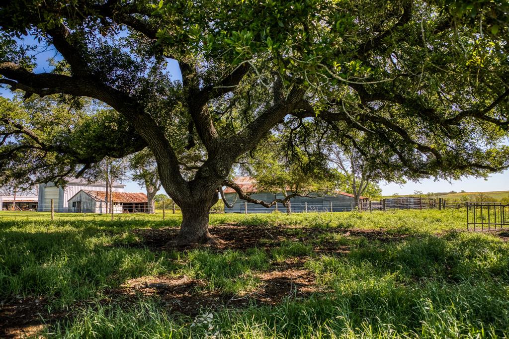 6902 Farm To Market 50, Brenham, Texas image 19