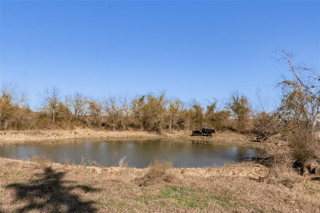 TBD Virgie Community Road, Magnolia, Texas image 36