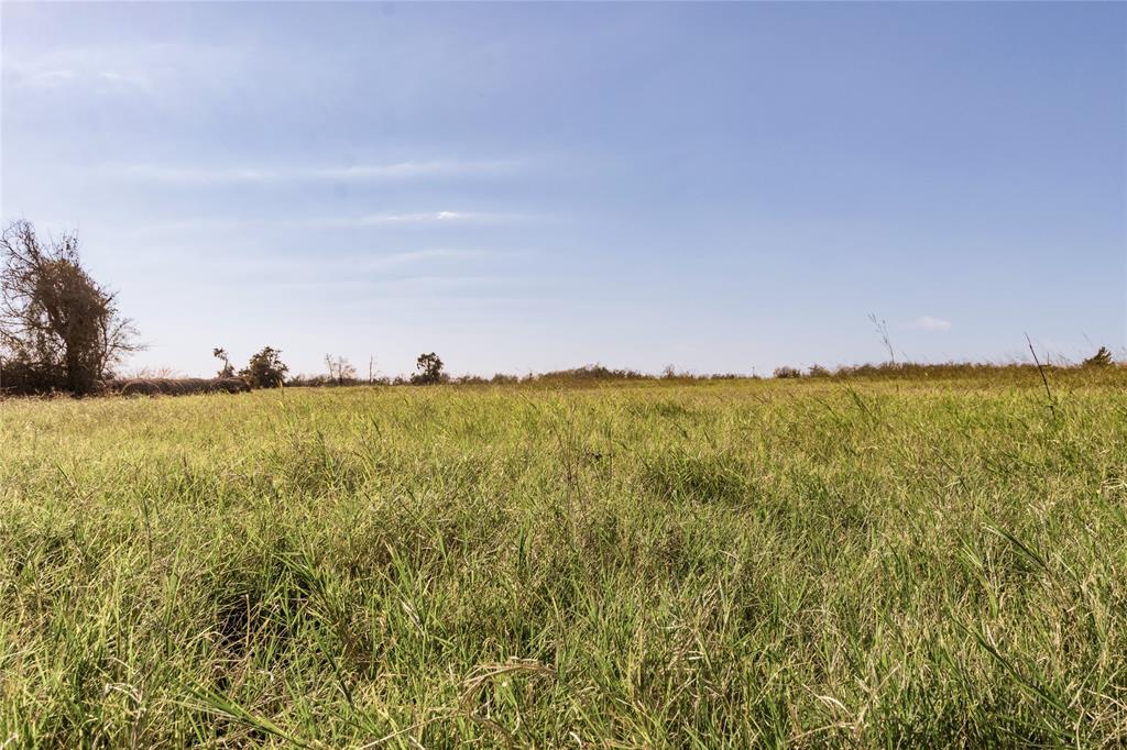 TBD Virgie Community Road, Magnolia, Texas image 46