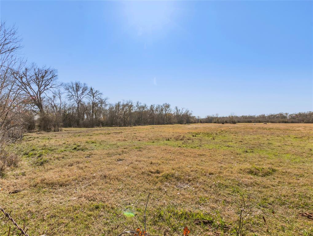 TBD Virgie Community Road, Magnolia, Texas image 6